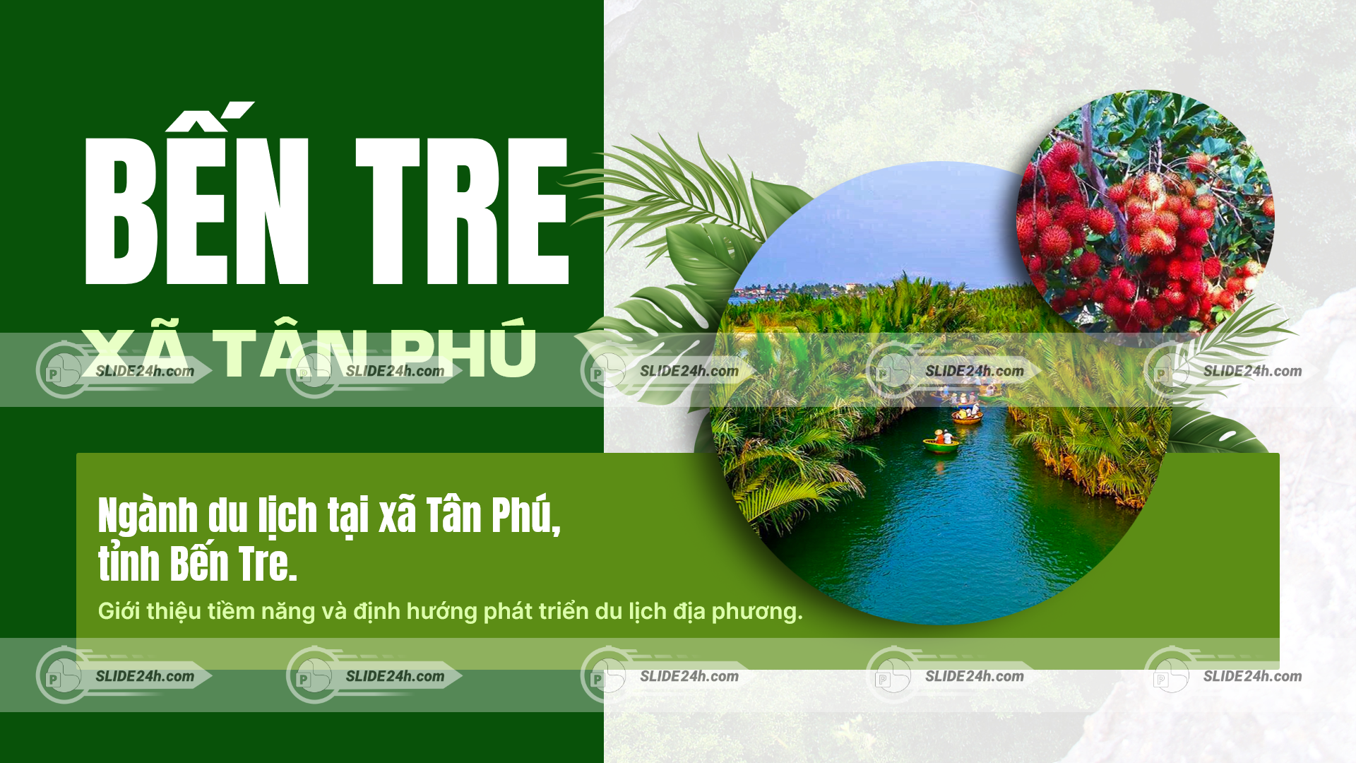 bến tre xã tân phú du lịch sinh thái miệt vườn kênh rạch và vườn trái cây