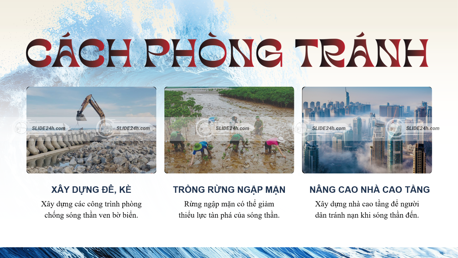 Biện pháp phòng tránh sóng thần