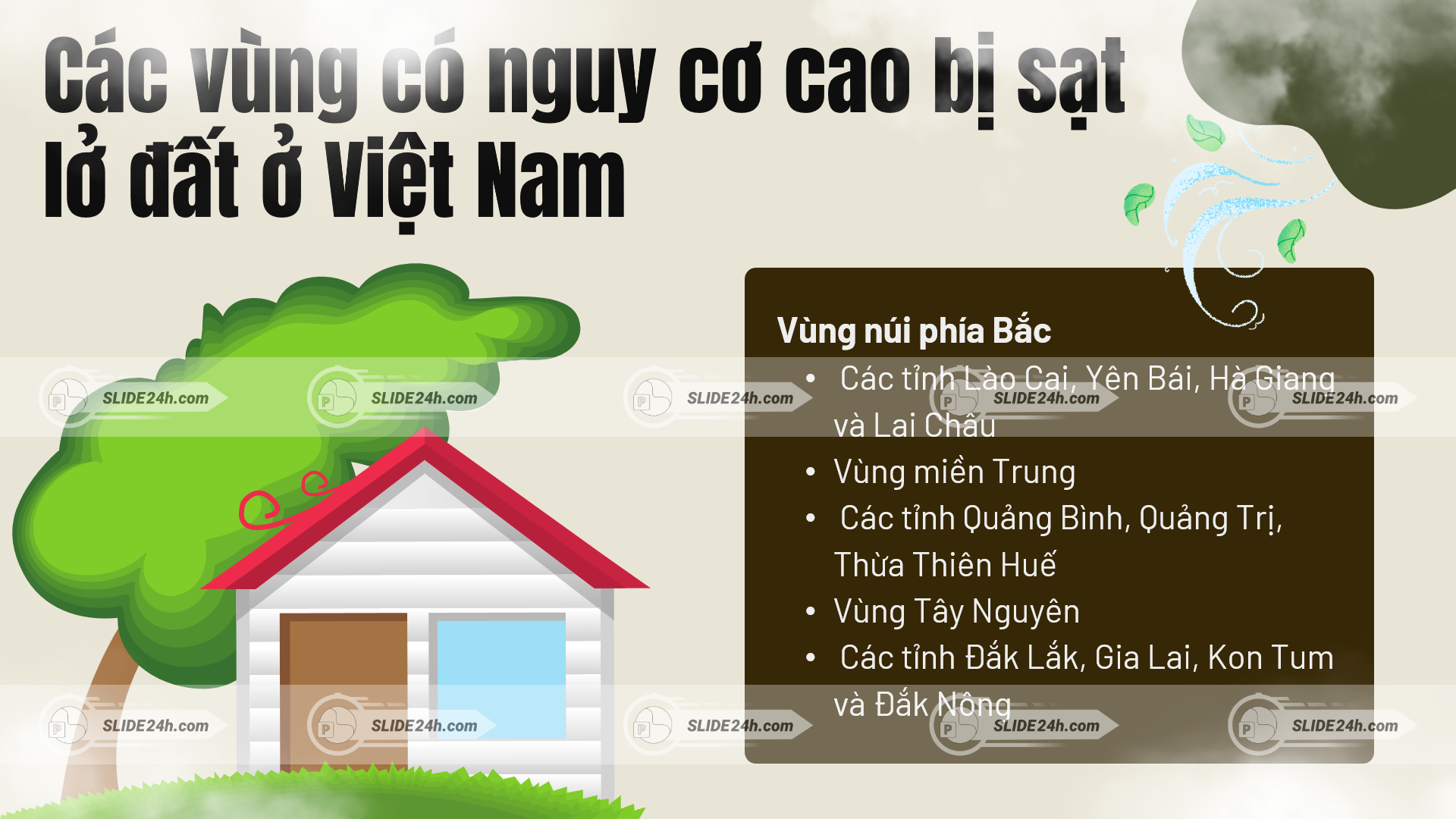 Các khu vực có nguy cơ sạt lở đất cao ở Việt Nam