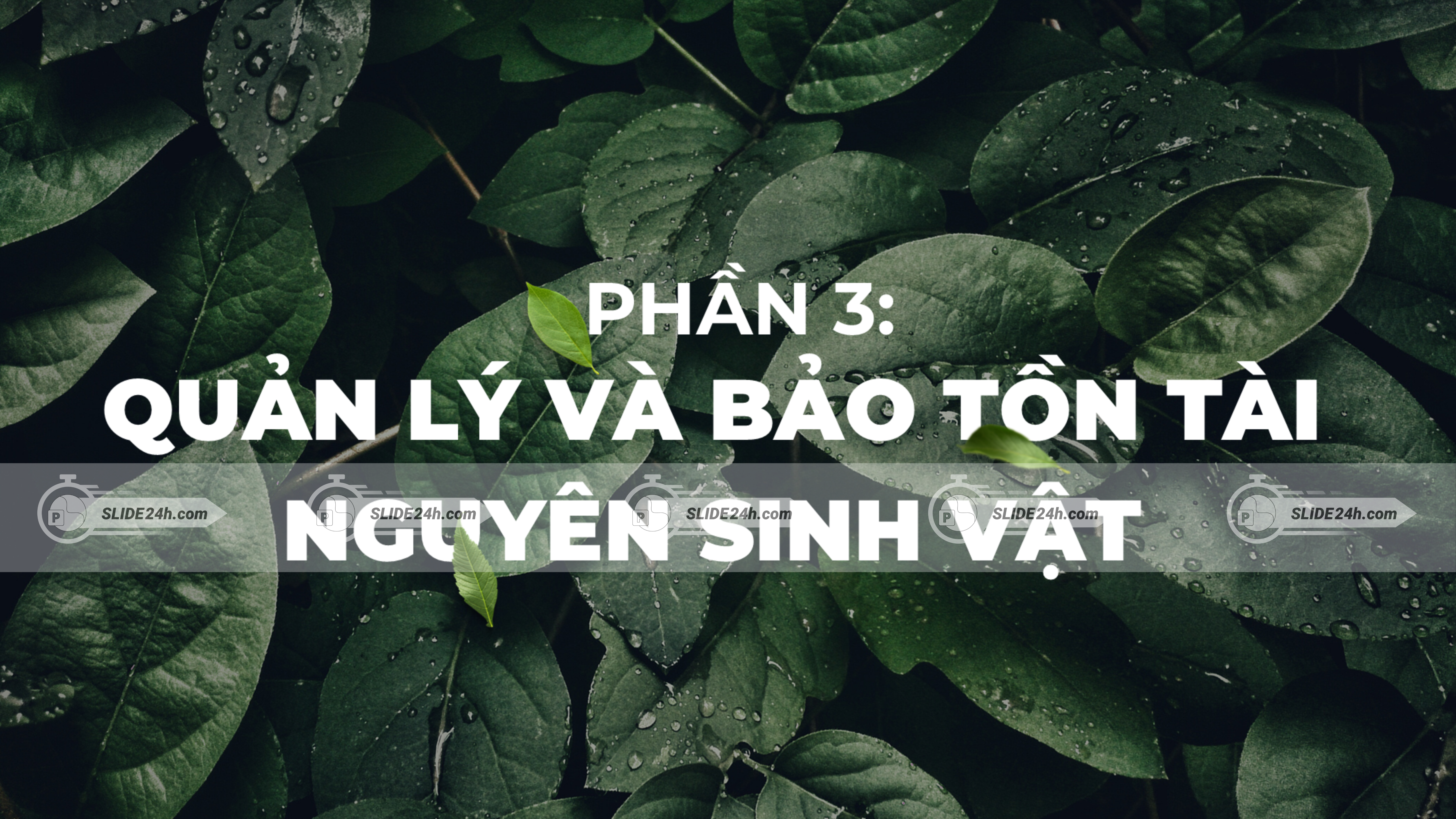 Các phương pháp quản lý và bảo tồn tài nguyên sinh vật