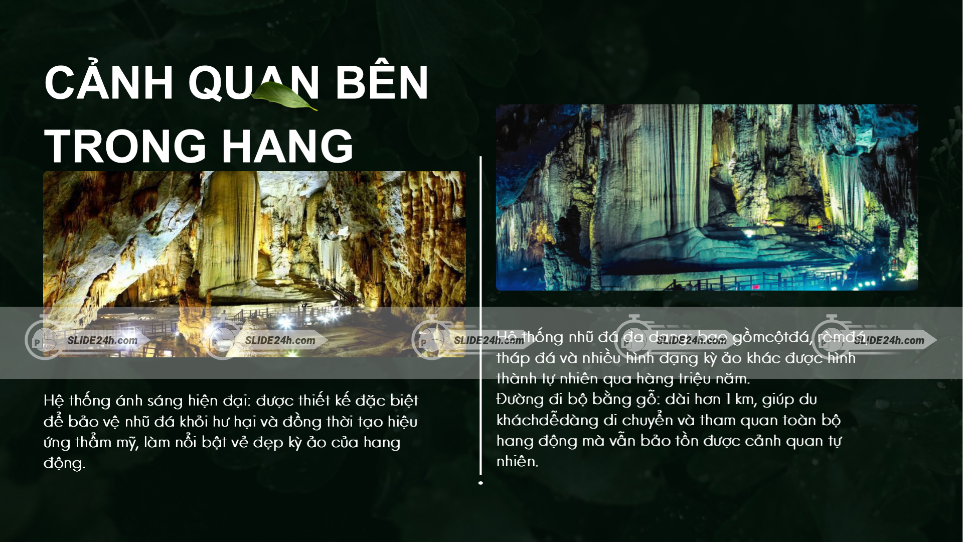 cảnh quan bên trong Động Thiên Đường