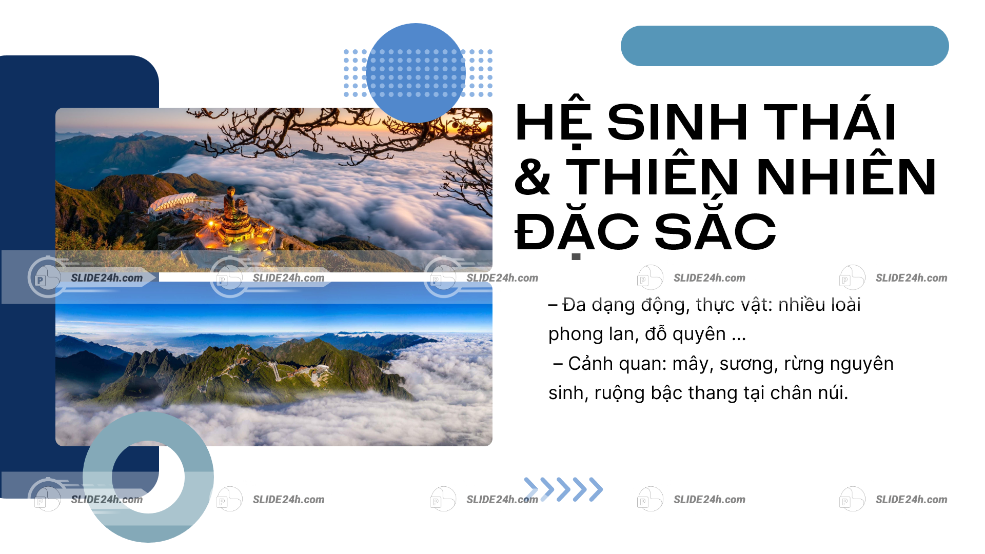 cảnh quan thiên nhiên của fansipan