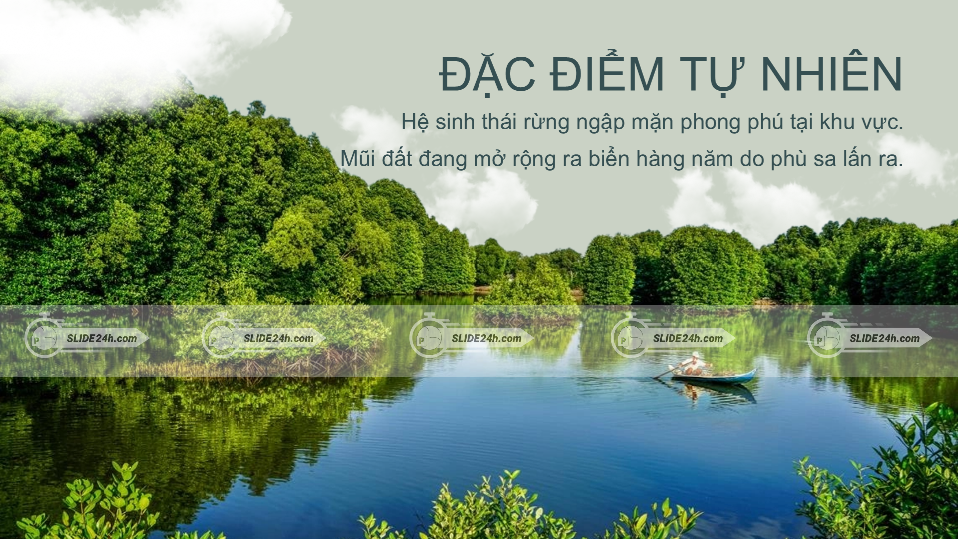 đặc điểm tự nhiên Mũi Cà Mau