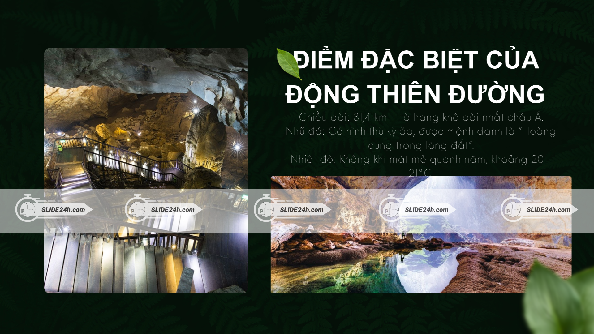 Điểm đặc biệt của Động Thiên Đường