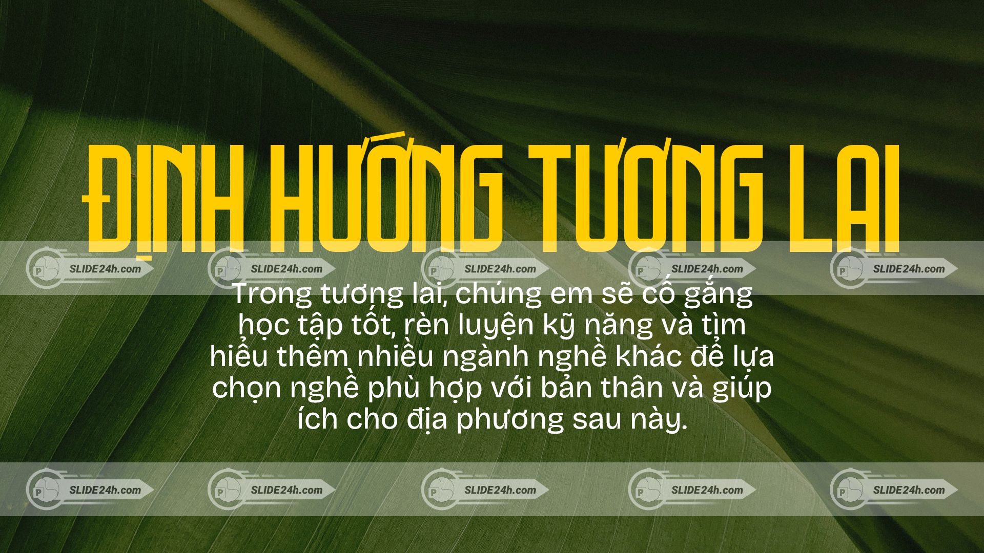 Định hướng nghề nghiệp sản xuất và kinh doanh
