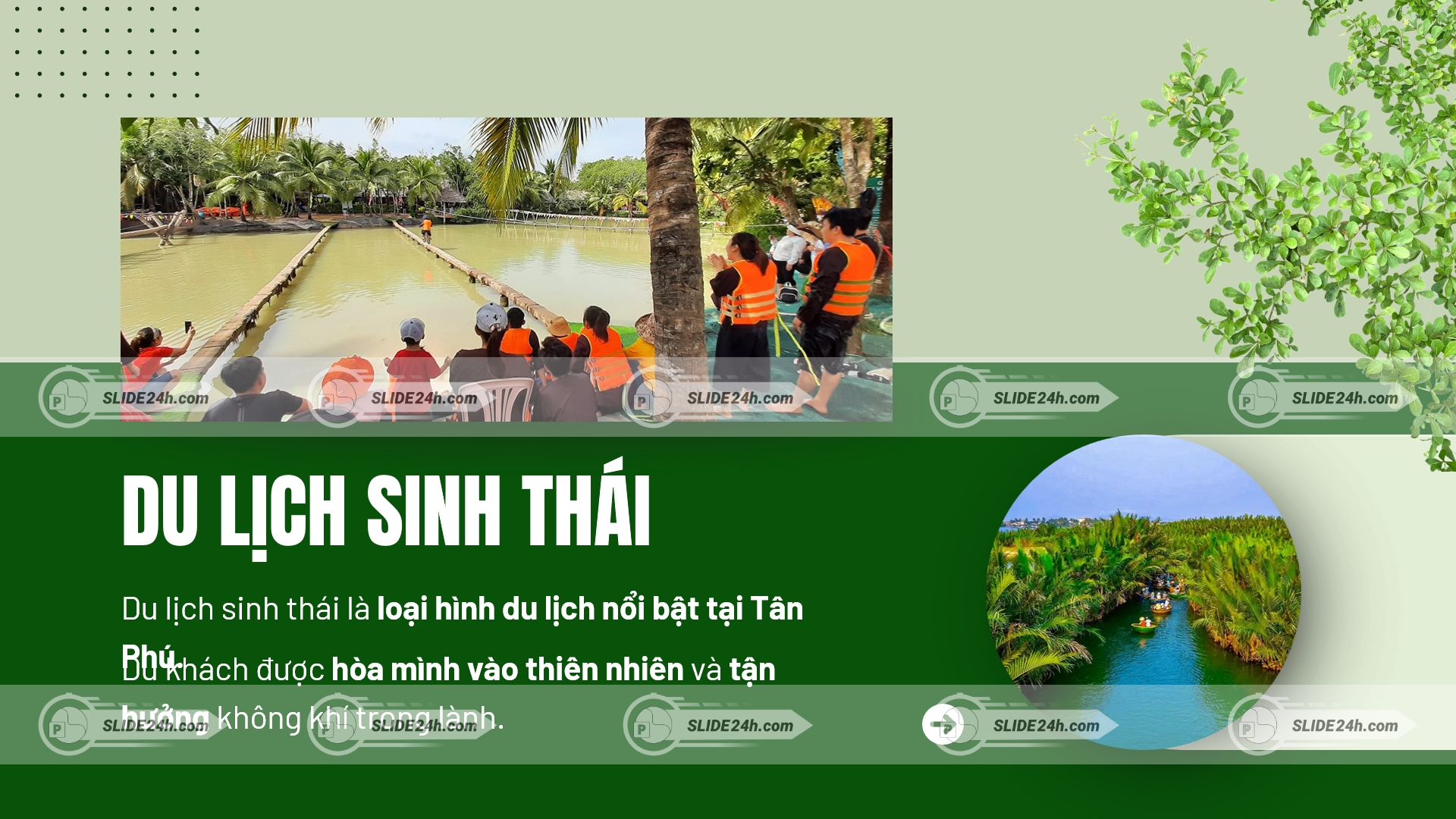 du lịch sinh thái xã tân phú bến tre trải nghiệm thiên nhiên miệt vườn