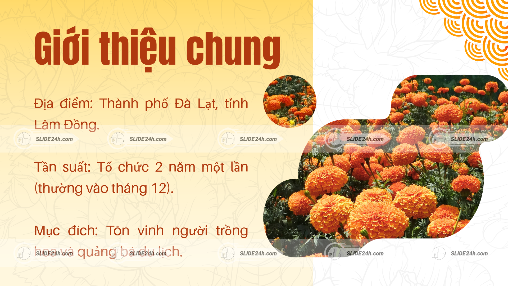 giới thiệu lễ hội hoa đà lạt với thông tin địa điểm thời gian và mục đích tổ chức