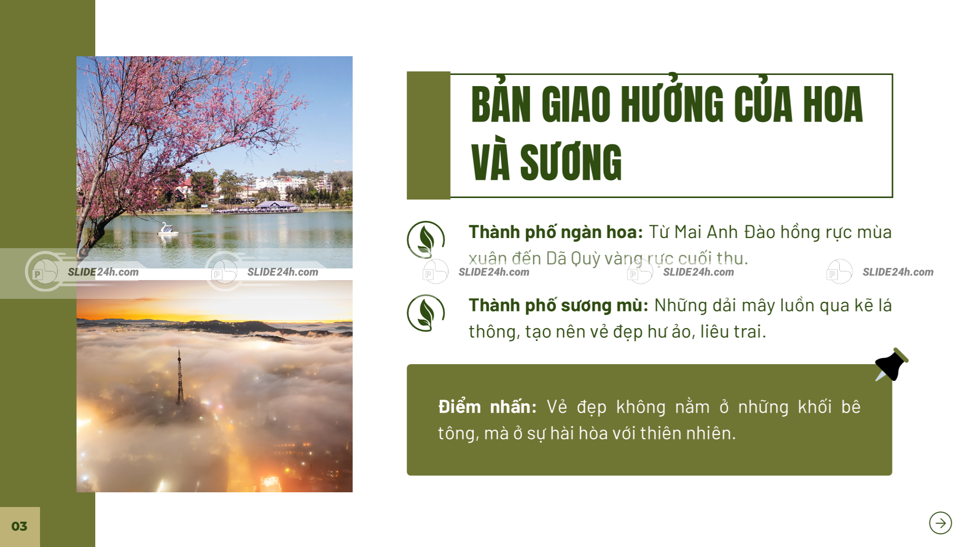 Hoa và sương tạo nên vẻ thơ mộng rất riêng cho Đà Lạt.