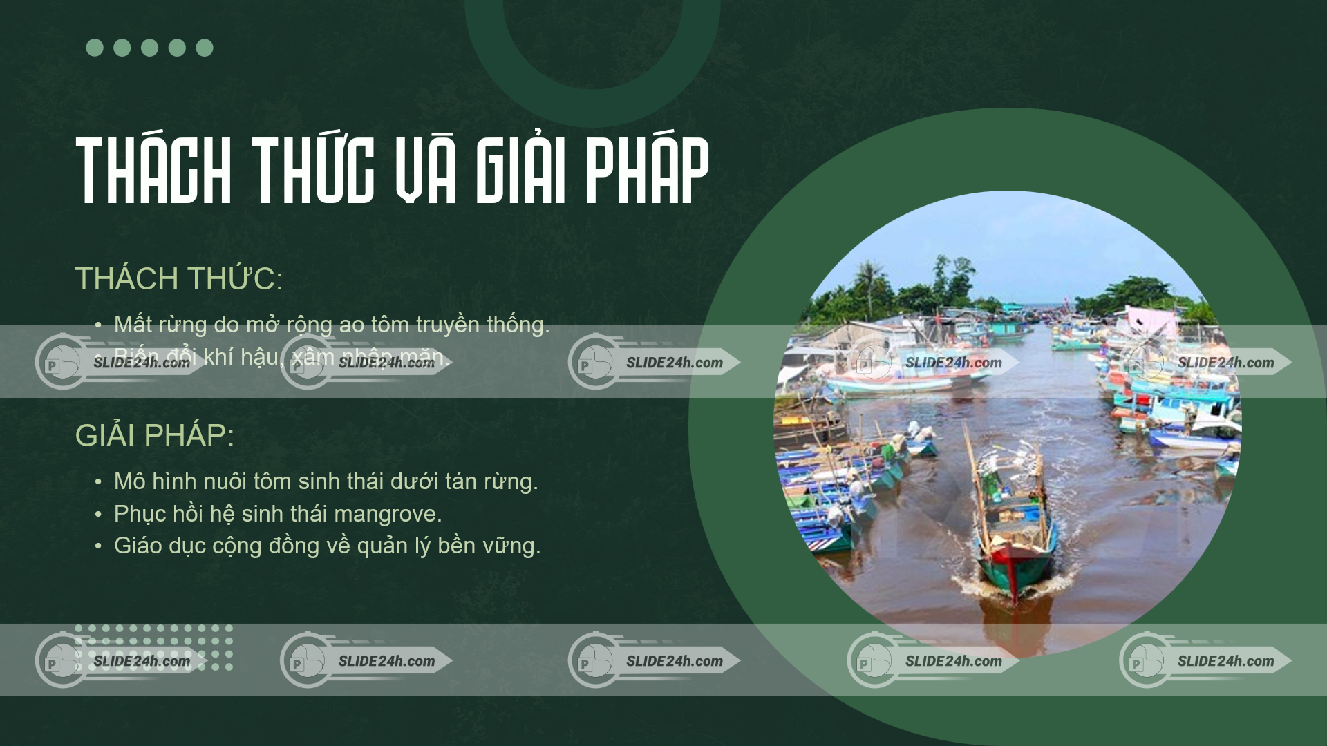 hoạt động sinh kế ven biển tại khu vực rừng ngập mặn cà mau