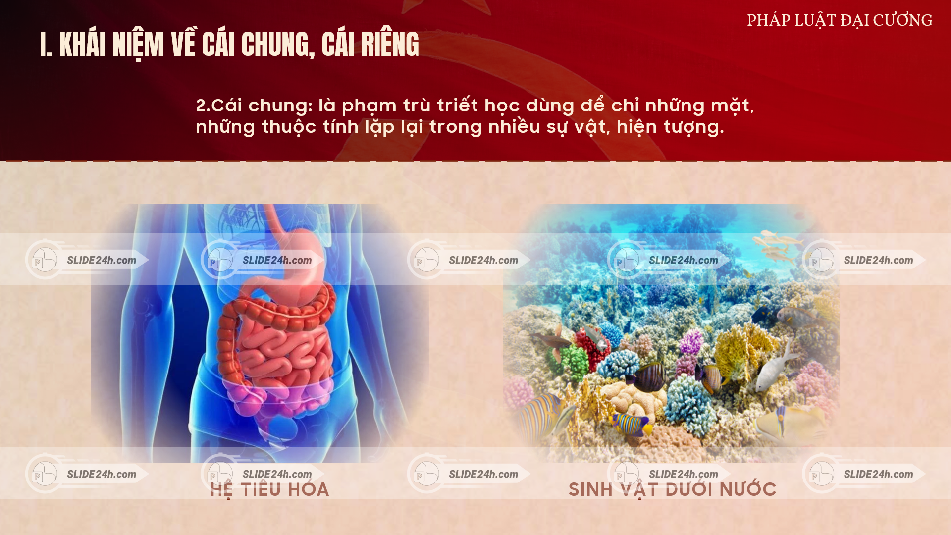 Khái niệm cái chung, cái riêng và cái đơn nhất