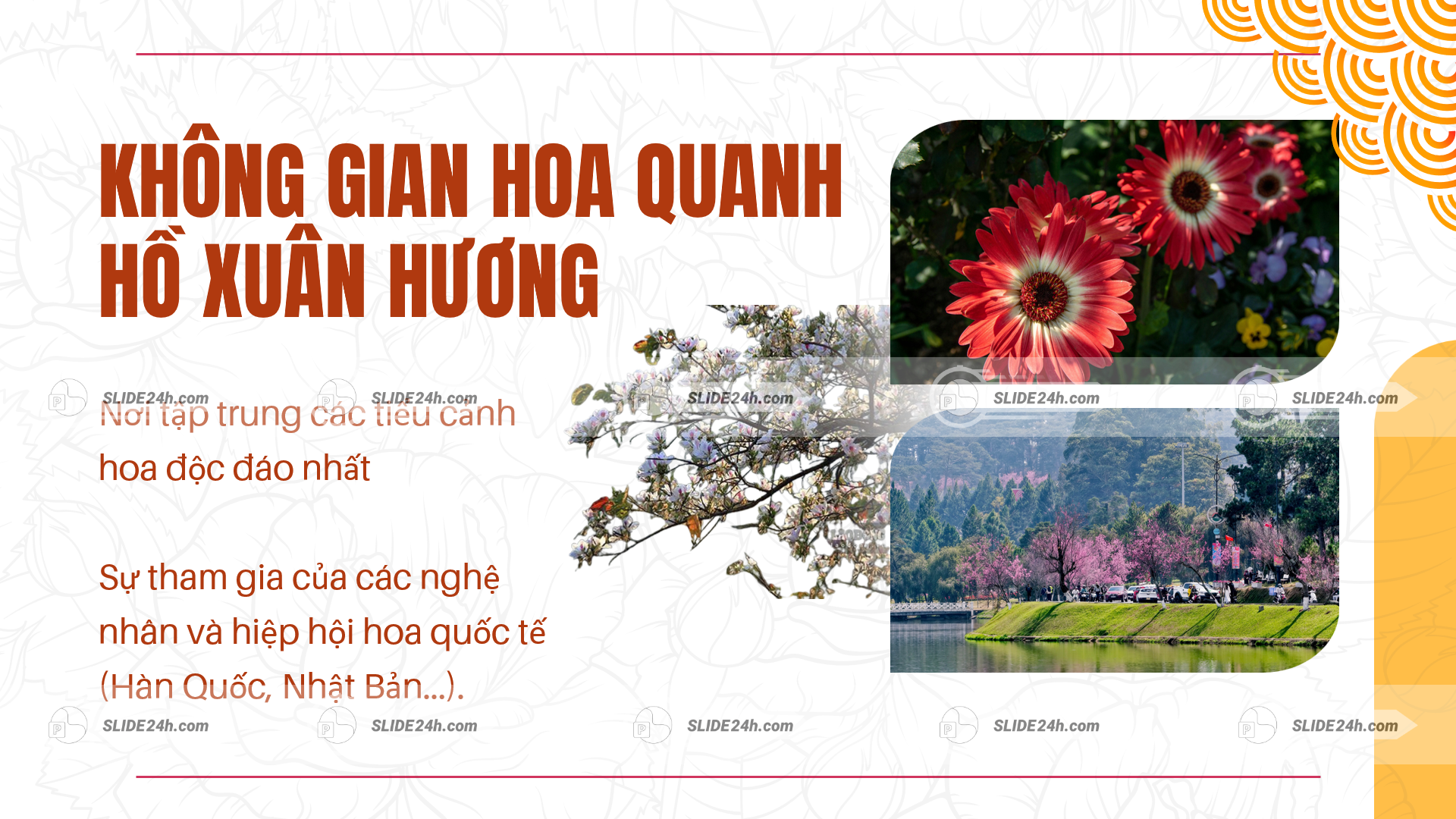 không gian hoa quanh hồ xuân hương với tiểu cảnh hoa và du khách tham quan