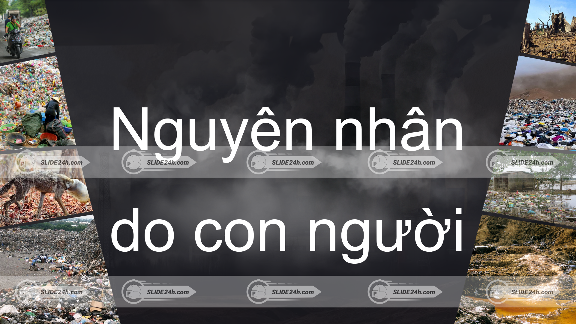 nguyên nhân do con người