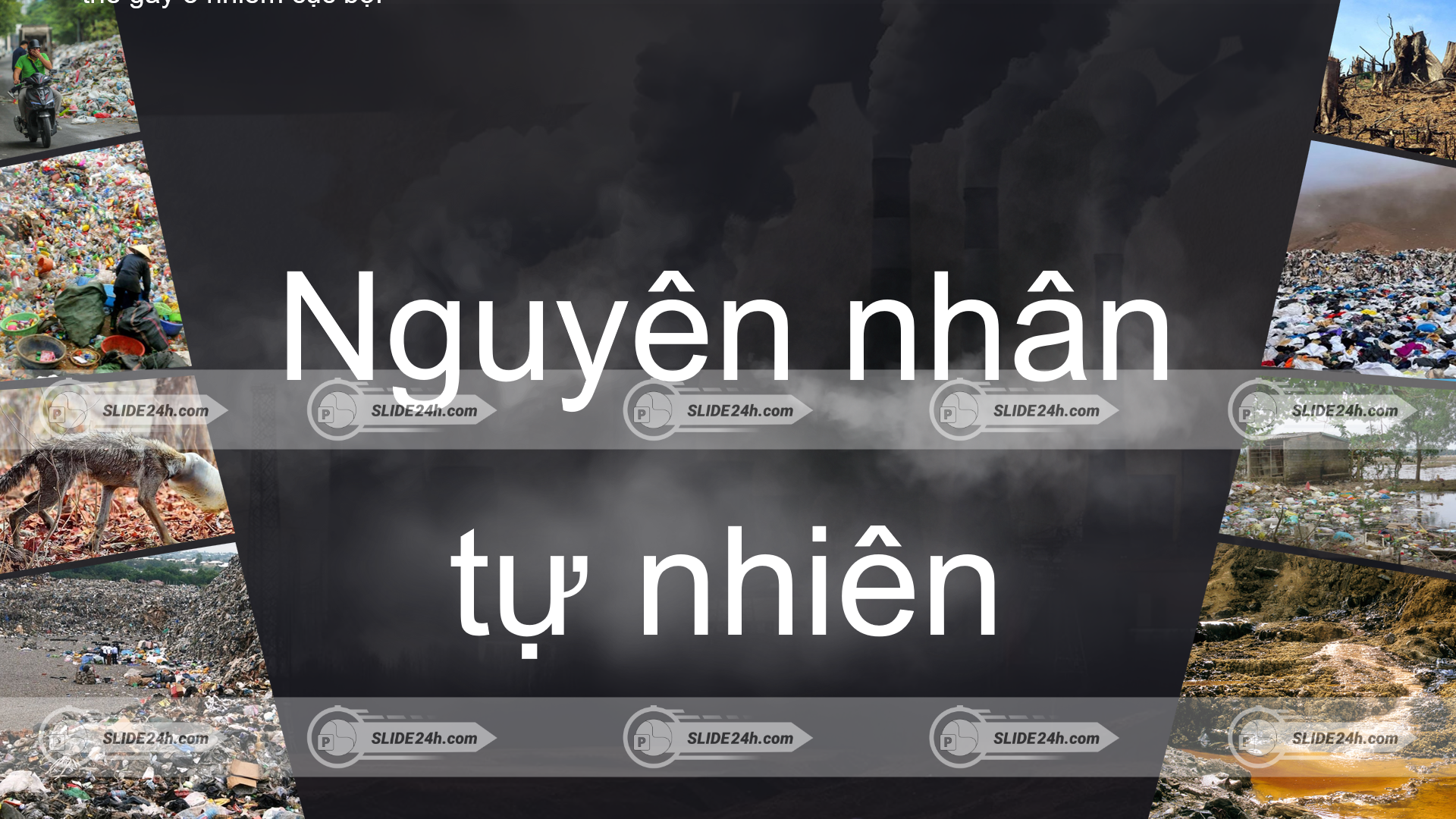 nguyên nhân tự nhiên