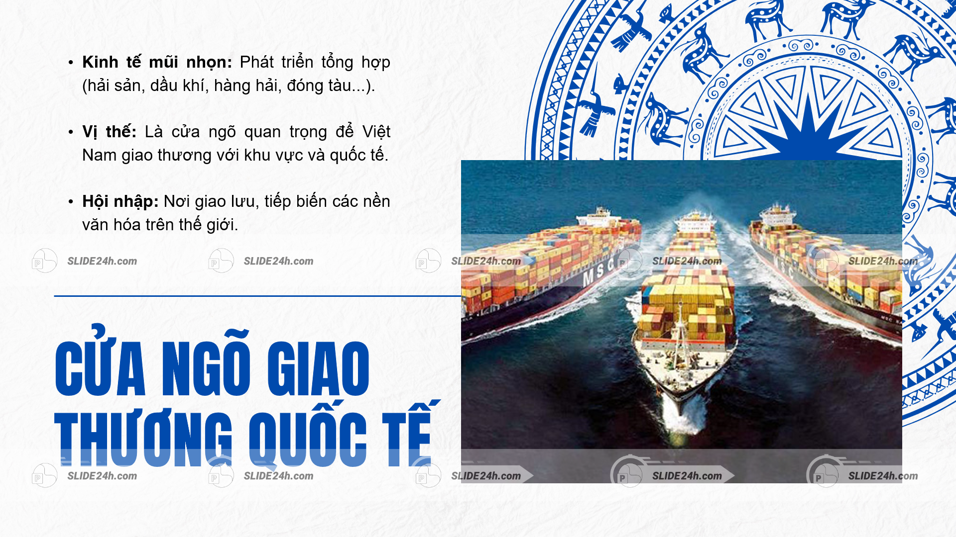 nhiều tàu container trên biển thể hiện vai trò cửa ngõ giao thương quốc tế của việt nam