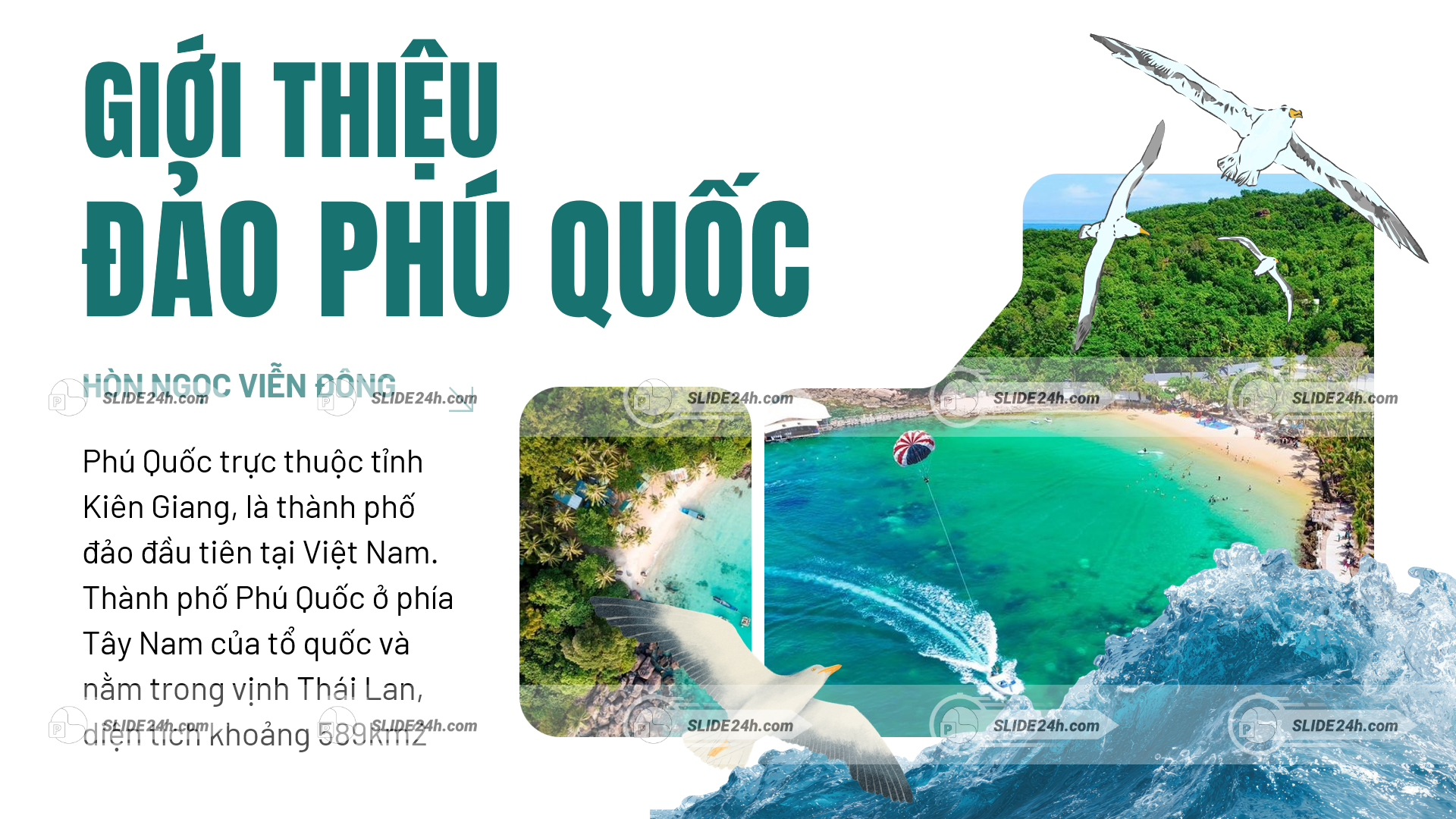slide giới thiệu đảo phú quốc với biển xanh rừng cây và thông tin tổng quan