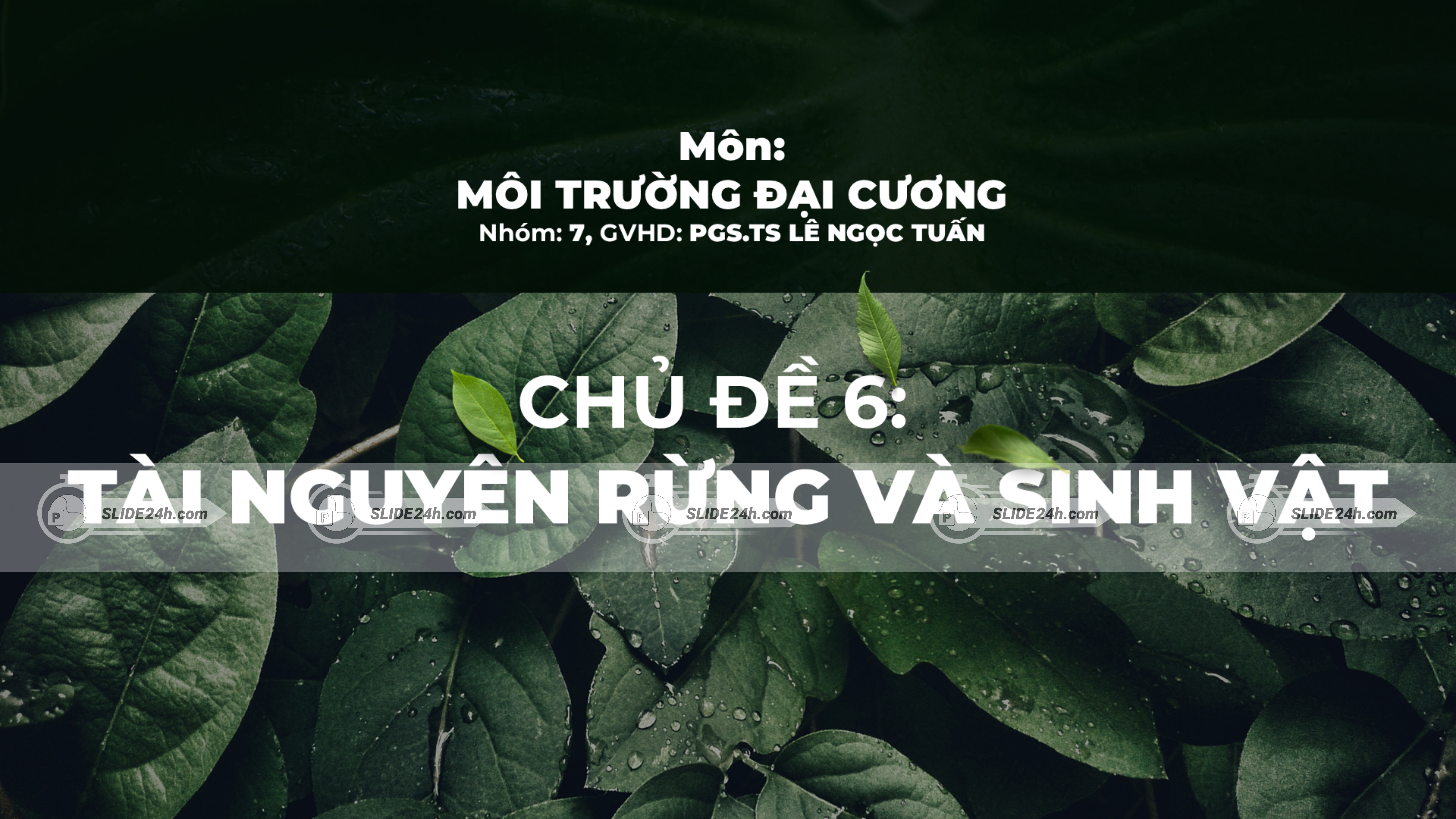 Slide Tài nguyên rừng và sinh vật