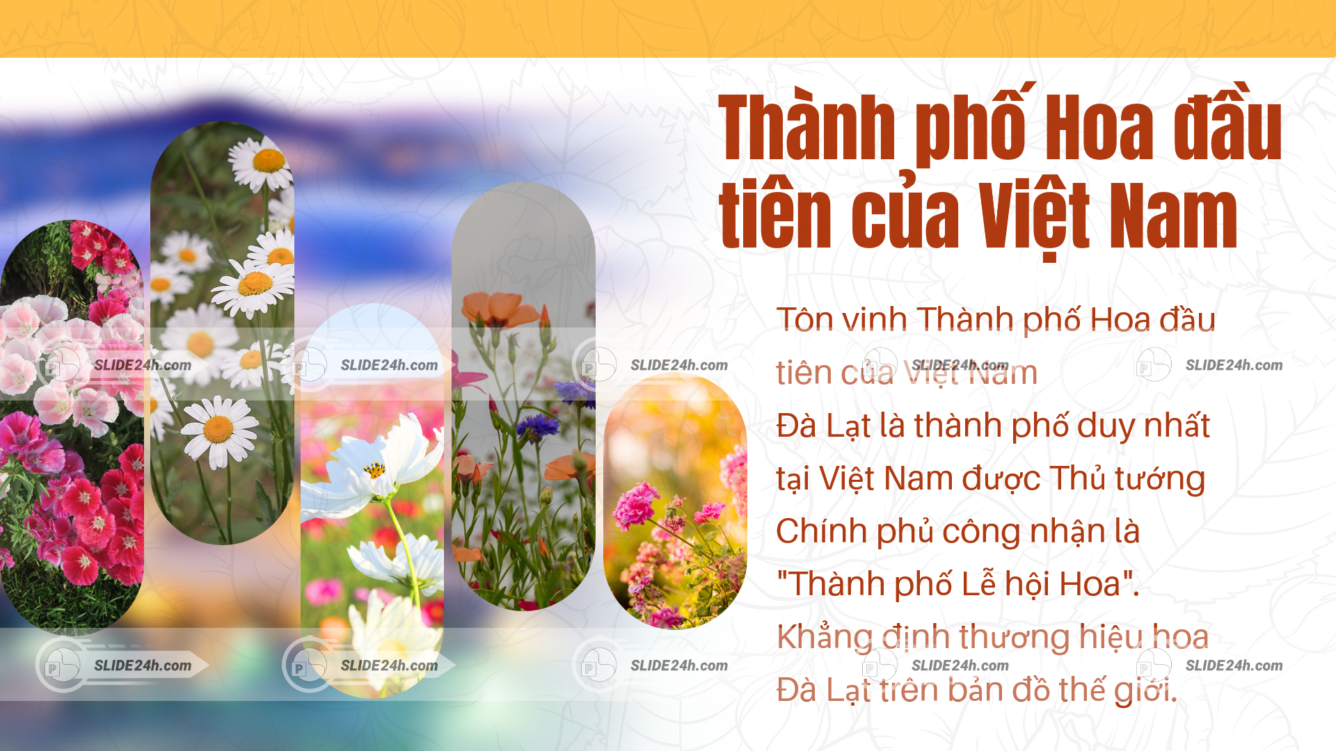 thành phố đà lạt với nhiều loài hoa rực rỡ và danh hiệu thành phố hoa việt nam