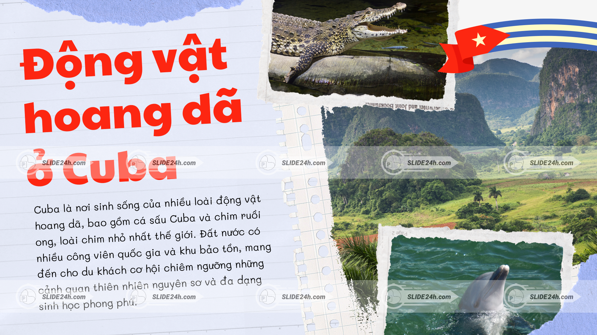 Thiên nhiên và động vật hoang dã Cuba 