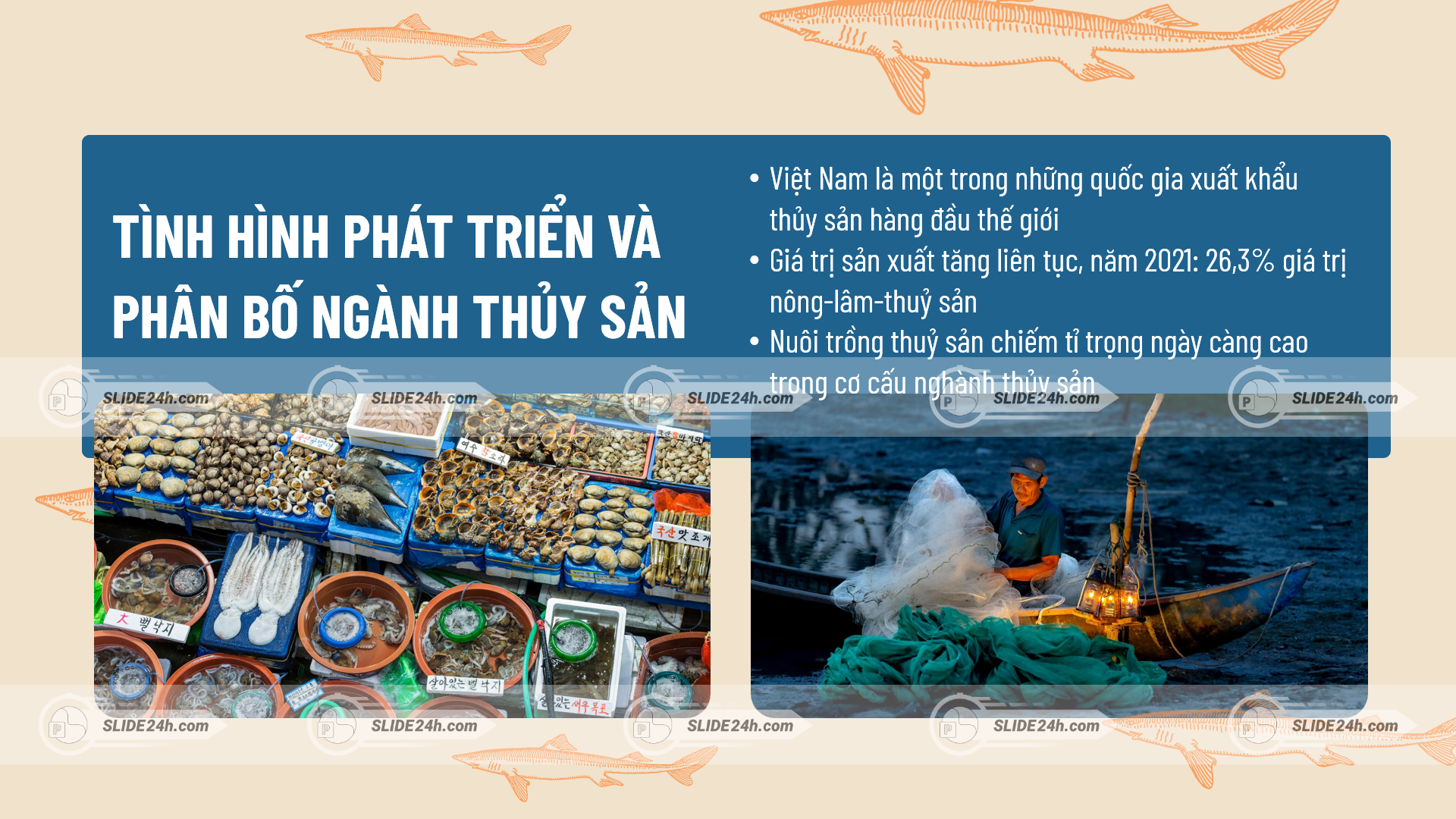 tình hình phát triển và phân bố ngành thủy sản với hình ảnh chợ hải sản và ngư dân đánh bắt trên biển