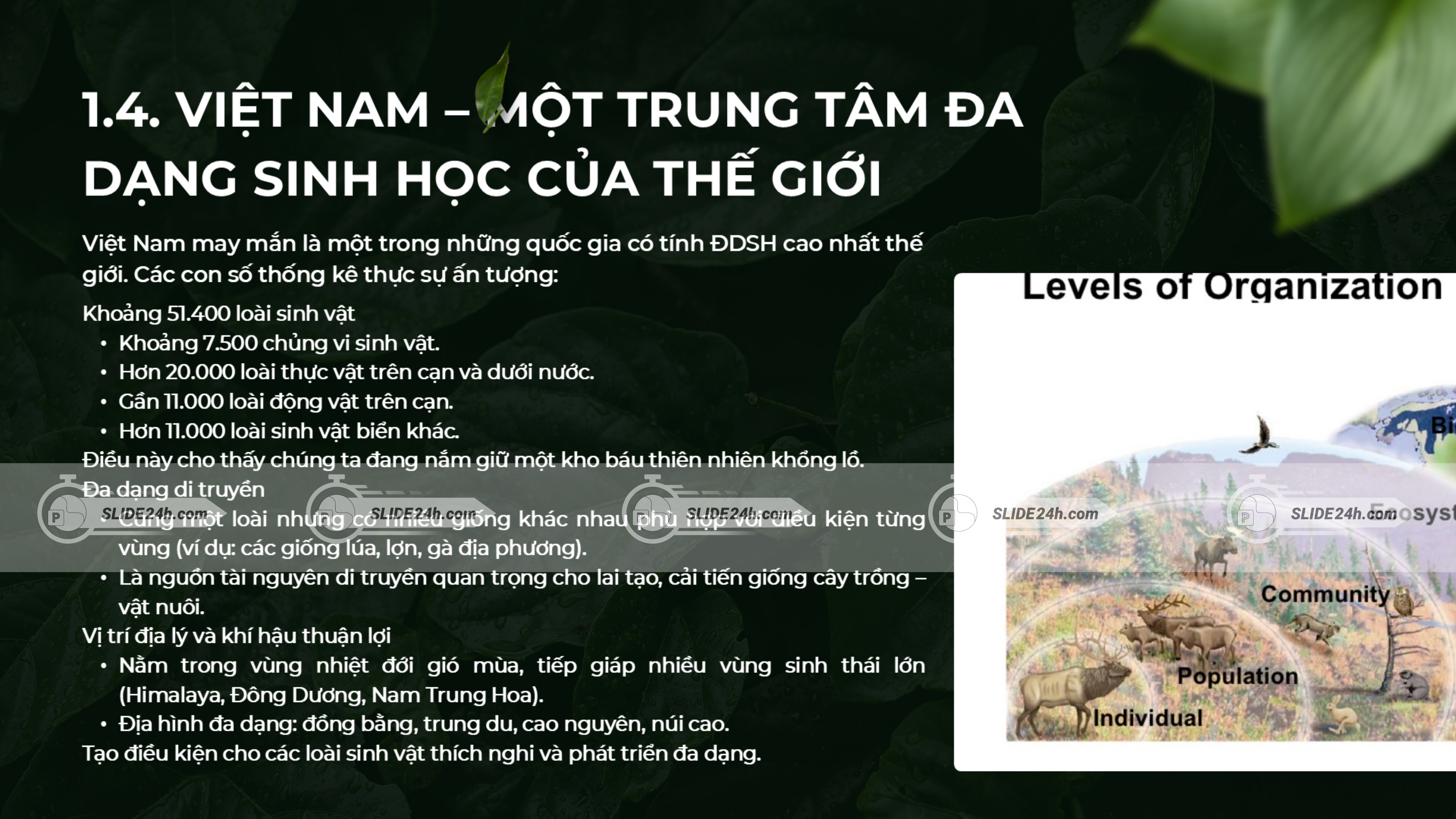 Việt Nam - một trung tâm đa dạng sinh học của thế giới