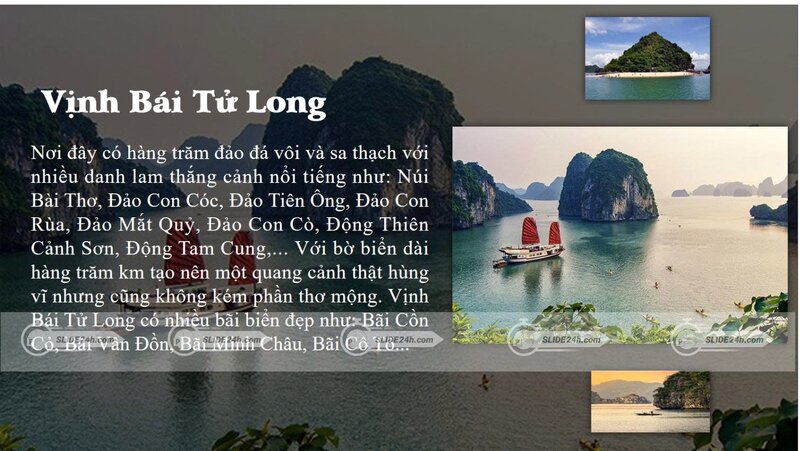 vịnh bái tử long