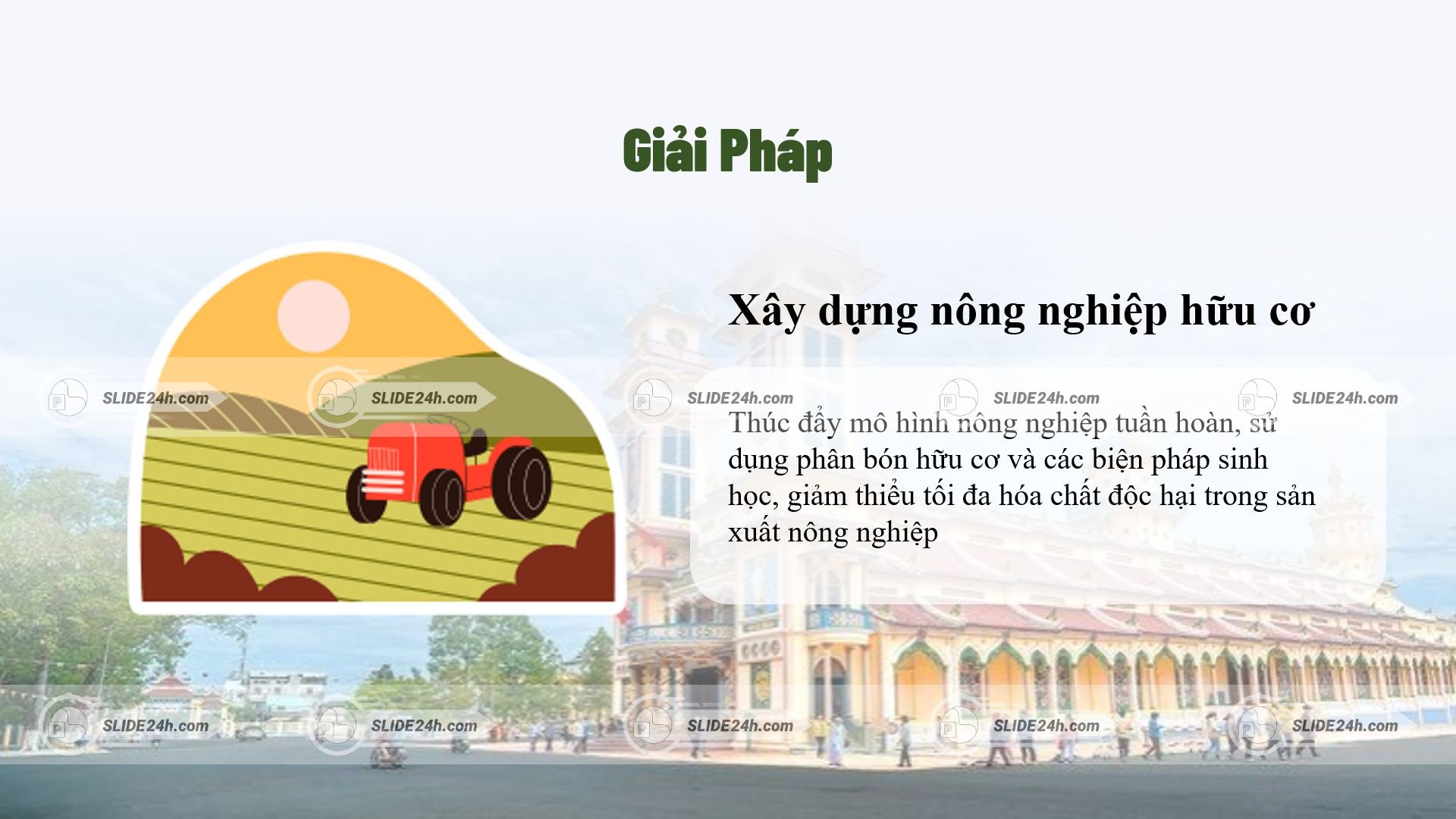 xây dựng nông nghiệp hữu cơ và nông nghiệp tuần hoàn giảm hóa chất trong sản xuất